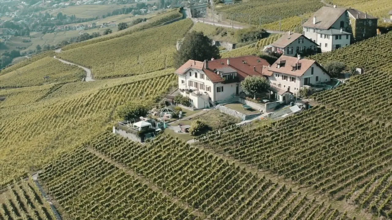 Aerial drone view of the Lavaux vineyards